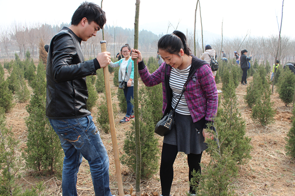 PA��Ѷ(�й���)���� - PlayAce