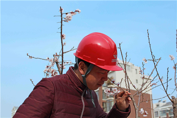 PA��Ѷ(�й���)���� - PlayAce