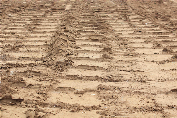 PA��Ѷ(�й���)���� - PlayAce