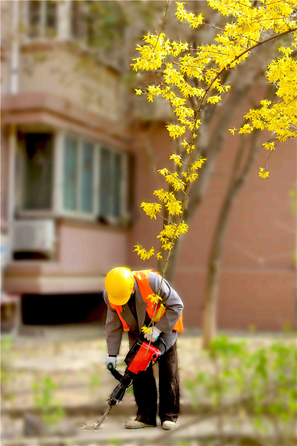 PA��Ѷ(�й���)���� - PlayAce