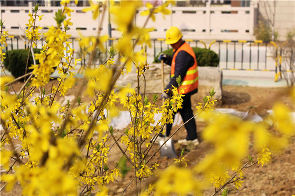 PA��Ѷ(�й���)���� - PlayAce