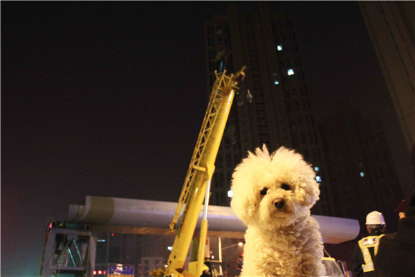 PA��Ѷ(�й���)���� - PlayAce