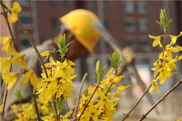 PA��Ѷ(�й���)���� - PlayAce