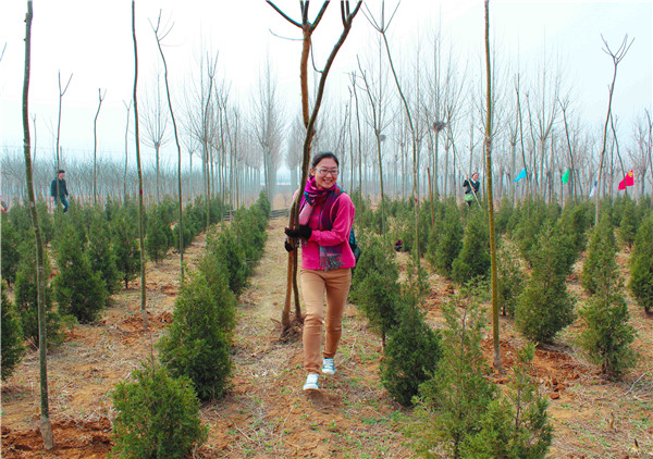 PA��Ѷ(�й���)���� - PlayAce