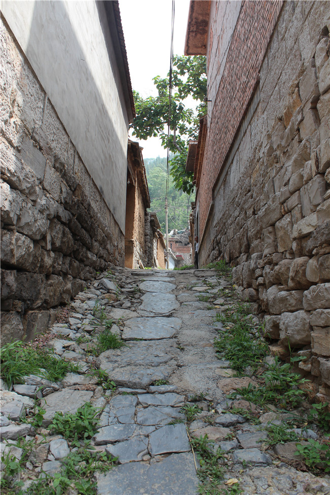 PA视讯(中国区)官网 - PlayAce